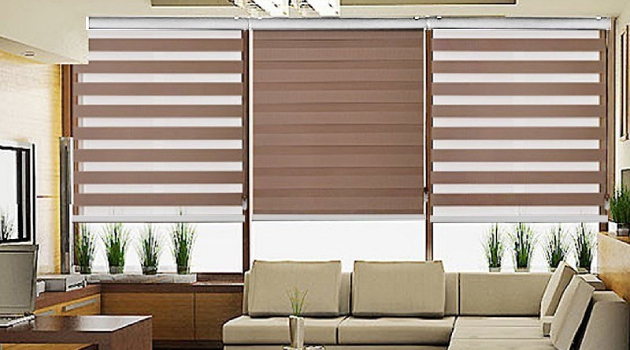 Customized Blinds